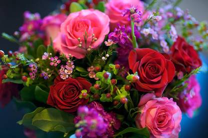 Poster Nature Rose Flowers Flower Bouquet Colors Colorful Red Flower Pink Flower sl12160 (Large Poster, 36x24 Inches, Banner Media, Multicolor) Fine Art Print