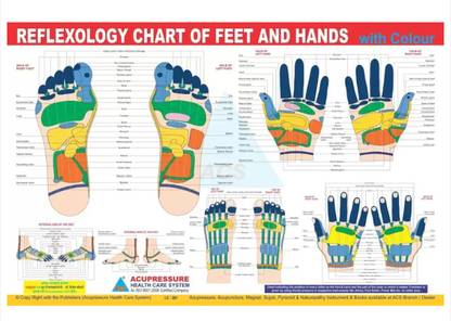 Reflexology Chart - Eng. Paper Print (18 inch X 12 inch) Fine Art Print