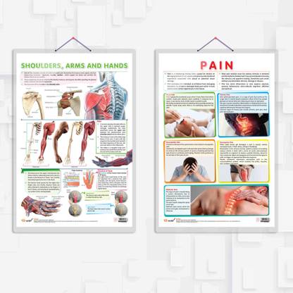 SHOULDER, ARMS AND HANDS chart and PAIN chart | combo of 2 Charts | Understanding Upper Body Wellness: Shoulder, Arms, and Hands and Pain Explained in Informative Charts Paper Print