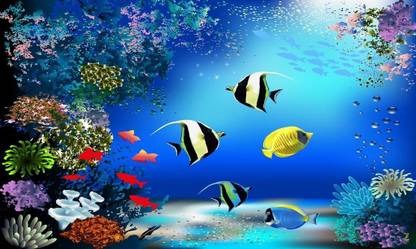 Decor your wall with Fish Aquarium Wallpaper in Kids Room Paper Print