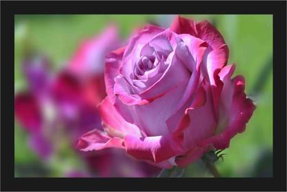 Flower Scenery Nature Poster with A4 Size Frame F-270 Paper Print