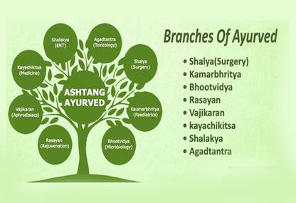 Poster Doctors Branches Of Ayurveda sl-9698 (Large Poster, 36x24 Inch, Banner Media Print, Multicolor) Fine Art Print