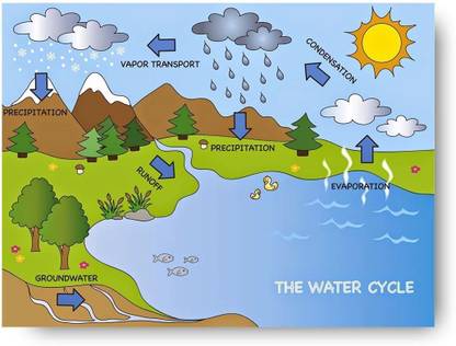 Water cycle poster- Kids learning Charts / Posters Photographic Paper