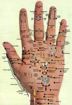 Poster Accupressure Poster Palm Hand Large Wall Poster, 36x24 Inches, Banner Media Fine Art Print
