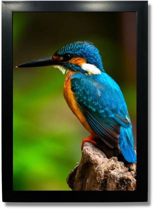 Wild Birds Photo Frame - Royal birds posters Wall Hanging Photographic Paper