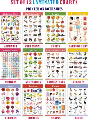 Charts for Kids Learning | Set of 12 Charts ( Printed on Both Sides ) | 30 x 45 cm | Alphabet, Numbers, Birds, Animals, Fruits, Vegetables, Shapes, Colours, Parts of Body, Vehicles, Domestic Animals & Flowers Chart | Perfect for Homeschooling, Kindergarten and Nursery Students | Photographic Paper