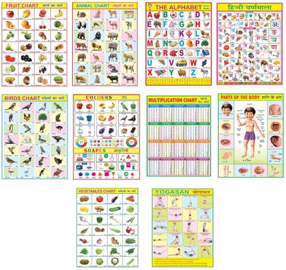 Combo of 10 Fruit Chart, Animal Chart, Alphabet, Hindi Varnmala, Birds Chart,Colours, Multiplication, Parts of body, Vegetable, Yogasan (20x30) Wall chart For kids Paper Print