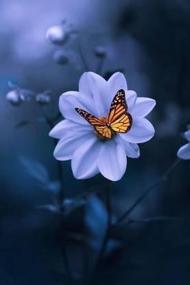 Flower Poster for Room Wall Decoration, Size - 12 X 18 inches || VE EB ART 9216 Paper Print