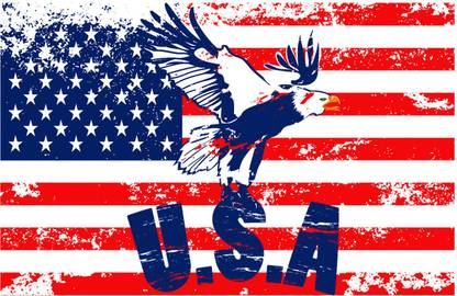 Poster Usa Flag Design sl-13933 (LARGE Poster, 36x24 Inches, Banner Media, Multicolor) Fine Art Print