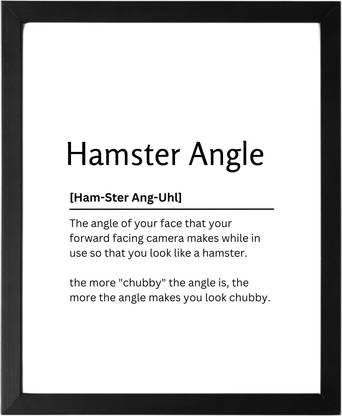 Hamster Angle 9.5 X 11.5 UNFRAMED Dictionary Definition Art Print Poster Wall Office Home Decor Minimalist Funny Quote Meaning Enhanced Paper Poster Paper Print