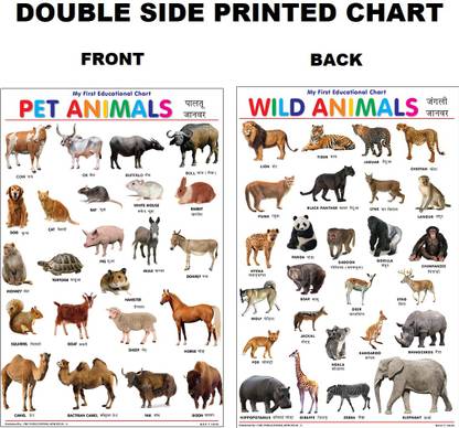 Both Side Printed Pet and Wild Animals Charts for Kids | Learn about Pet and Wild Animals at Home or School with Educational Wall Chart for Children| ( 50 X 75 CMS) Kids Early Learning books Paper Print
