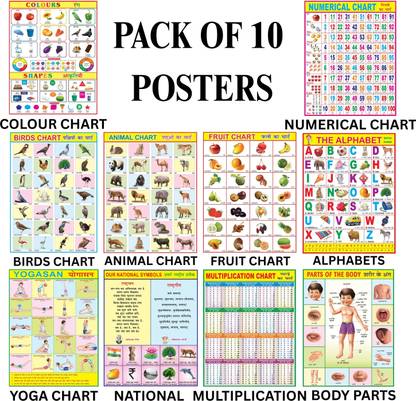 Combo of 10 Chart | Yogasan, Numerical, Animals, Birds, Fruits, Our National Symbols, English Alphabet, Colours, Shapes, Multiplication & Parts of the Body Chart For Kids | 28x40Inch (70x100cm)| Laminated chart | Waterproof and Non tearable Wall Chart. Paper Print Paper Print