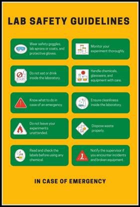 Lab Safety Guidelines Poster Wall Décor Poster Fine Art Print