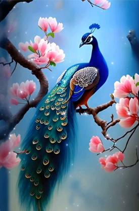C Zone_ peacock bird with beautiful Poster For Home And Office Décor Paper Print (12 x 18 inch) _1053 Paper Print