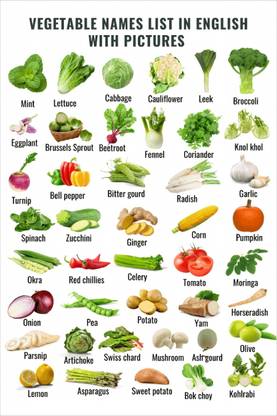 Vegetables Name Paper Paper (12 inch X 18 inch, Rolled) Paper Print