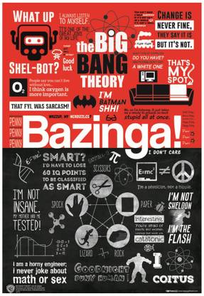 Big Bang Theory All Famous Quotes Typography Sayings Wall Poster A4 Size Photographic Paper