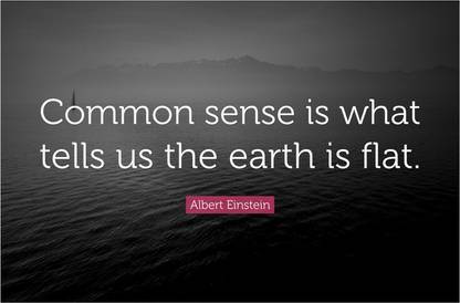 Albert Einstein Funny Quote Poster Paper Print