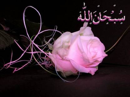 The creative solution beautiful black background -with pink rose wallpaper with digital print Size 30"x30" Canvas Art
