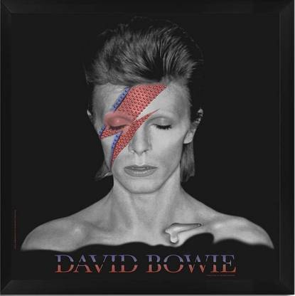 Poster David Bowie sl-14232 (Wall Poster, 13x19 Inches, Matte Paper, Multicolor) Fine Art Print