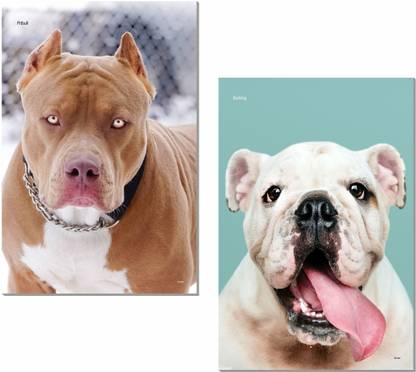 Bulldog Posters, Pitbull Dog Posters (12 x 18 inch), Puppy Dog Posters, Pet Dog Posters, Cute Puppy Dog Posters, Cute Dog Posters, Dog Photos, Dogs Breed Posters Paper Print