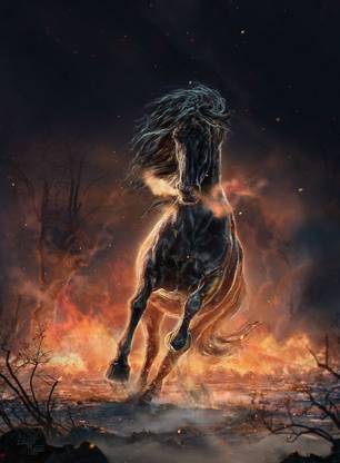 Horses Black Horse Fantasy Horses Hd Matte Finish Poster Paper Print