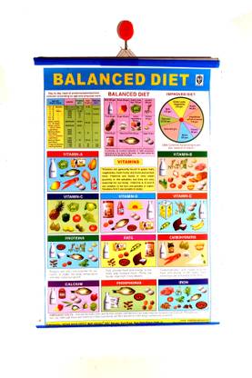 NutriGuide: Your Comprehensive Balanced Diet Companion|Useful for Students Doctor's clinic and Hospitals Fine Art Print