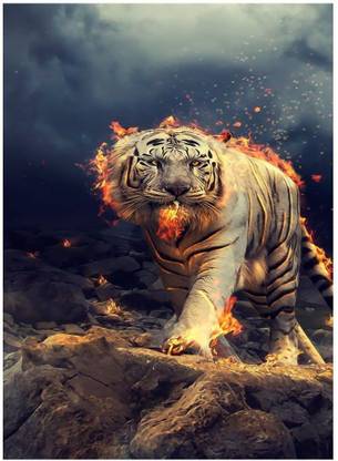 Animals White tiger White tiger fair Digital poster print - White tiger poster print (12 inch X 18 inch, Rolled) Paper Print (18 inch X 12 inch, Rolled) Paper Print