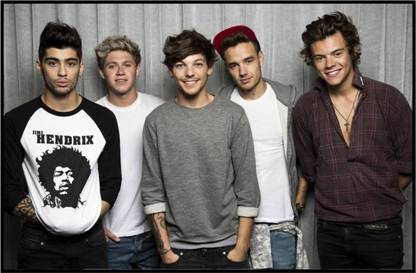 One Direction poster Wall Poster Print on Art Paper 13x19 Inches Paper Print
