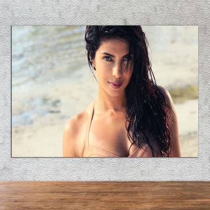 Poster Priyanka Chopra Bollywood Actress sl-4903 (Wall Poster, 13x19 Inches, Matte Paper, Multicolor) Fine Art Print