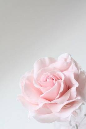 Flowerish Art Poster for Room Wall Decoration, Size - 12 X 18 inches || VE EB ART 9658 Paper Print