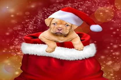 christmas gifts dogs christmas dog Poster, Wallpaper Paper Print