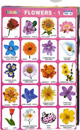 20 Different Random Mix Charts Cut Stick Paste for Kids School Scrap Booking Project Self Adhesive Stickers Chart Paper Print
