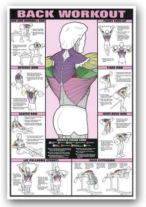 Motivational Inspirational Back Workout Exercise Gym Poster - 24 x 36 Inch Fine Art Print