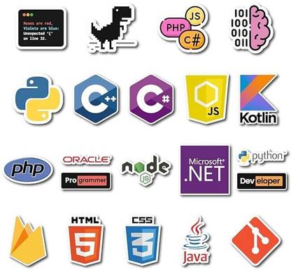Programming Stickers Codder Sticker Vnyle Sickers Pack of 38 Paper Print