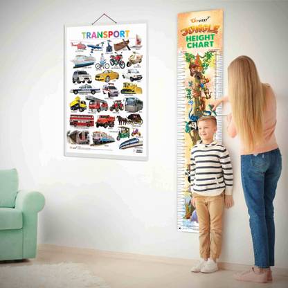 Transport and JUNGLE HEIGHT CHART | Set of 2 chart | Engaging Learning Set of Transport and Measure Jungle Height Chart for Kids Paper Print