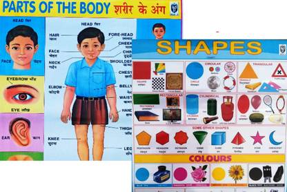 "Shapes and Body Parts Combo Chart - Ideal for Kids' Education" Photographic Paper