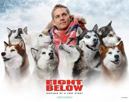 Poster Movie Eight Below sl-10011 (Large Poster, 36x24 Inch, Banner Media Print, Multicolor) Fine Art Print