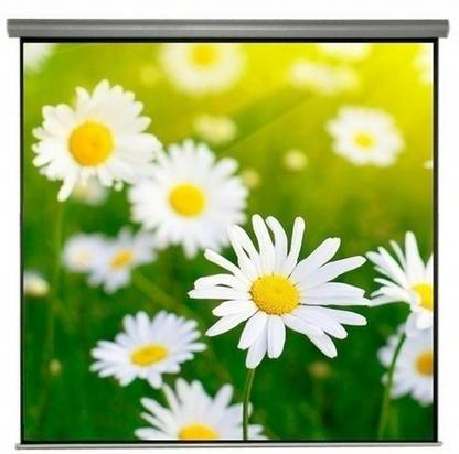 EMERGING SOLUTIONS ESSL8x10 Feet Projector Screen (Width 243.84 cm x 304.8 cm Height)