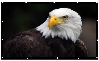 ZIOZY 120 Inch- 8Ft x 6Ft-Anti-Creased-Foldable Anti-Light 4:3 4K Eyelet Full HD 3D Projector Screen (Width 244 cm x 183 cm Height)