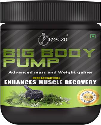 Fasczo Big Body Weight Gain Powder | Fast Health Gain with High Protein Men & Women Weight Gainers/Mass Gainers