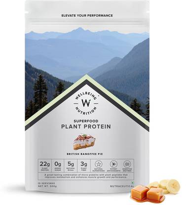 Wellbeing Nutrition Organic Vegan Plant Protein Isolate Powder, Pea & Brown Rice Protein, 5G BCAA Plant-Based Protein