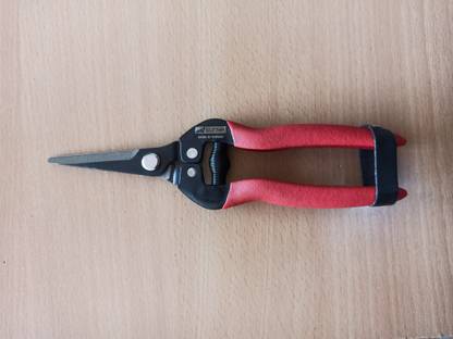SUNYA 33003Z Bypass Pruner