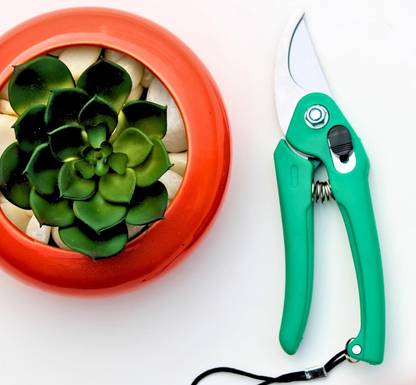 Gold Dust Pruner for Gardening, Plant Cutter for Home Garden, Pruning Cutter For Plants Pruner for Gardening Bypass Pruner