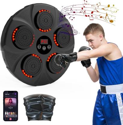 Rhobos Music Boxing Machine Wall Mounted Standing Bag