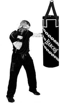 HARCOS 2.5 Feet Unfilled Synthetic Leather high Performance Heavy duty Punching Bag Hanging Bag