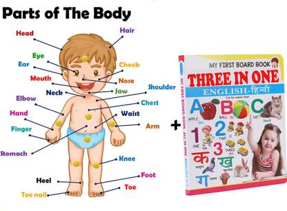 SHALAFI Parts of Body Name Tray Puzzle Board Educational Wooden Learning Toys+3in1 Book