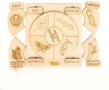 NESTA TOYS Montessori Life Cycle Puzzles | DIY Coloring Activity