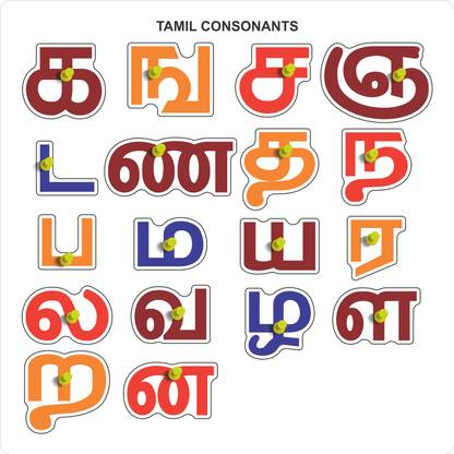 MECDOIT INTERNATIONAL Wooden Puzzle of Tamil Consonant Words for Kids Education