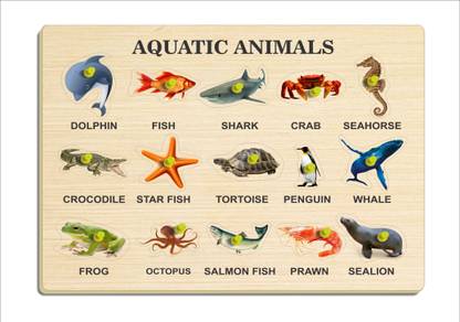 VMTS AQUATIC ANIMALS
