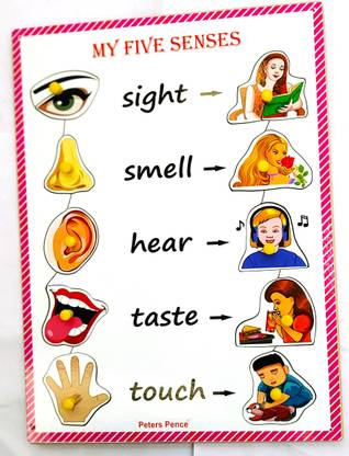 PETERS PENCE Wooden My Five Senses with Matching Images Puzzle for Kids Pre Primary Education